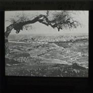 Böhl glass slide 62./1921